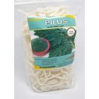 Oisiymo PILUS